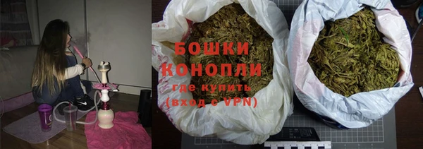 сатива Балахна