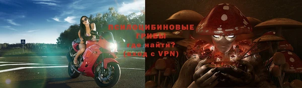 трава Балабаново
