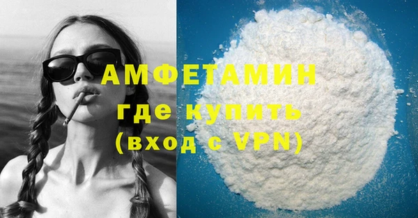 сатива Балахна