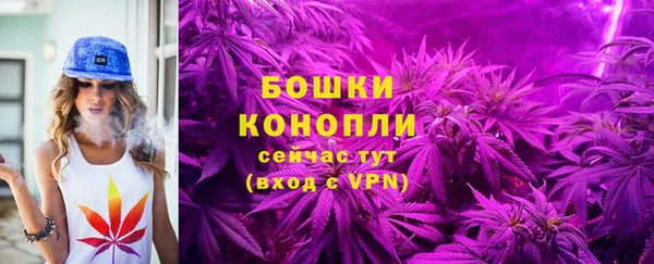 сатива Балахна
