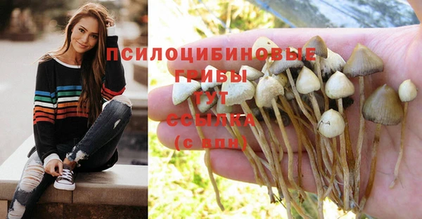 трава Балабаново