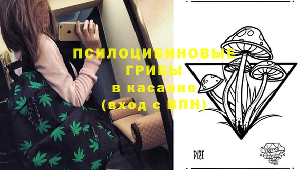 сатива Балахна